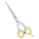 Barber Scissor